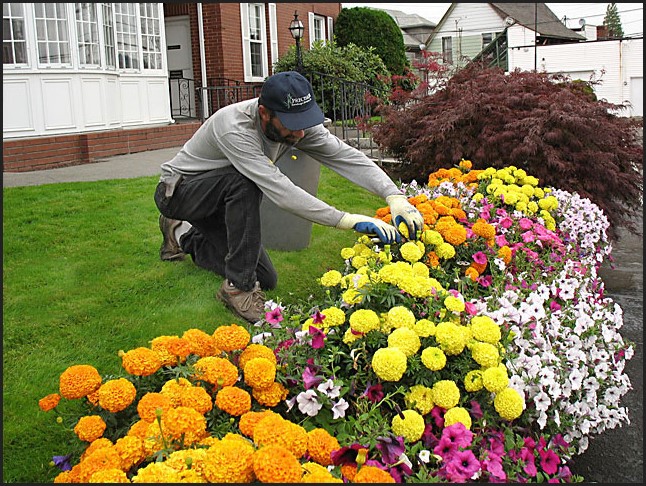 How to Select the Best Service in Landscaping Portland