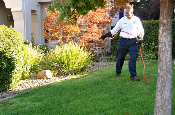 Sacramento CA Pest Control Company Specialized Pest Patrol